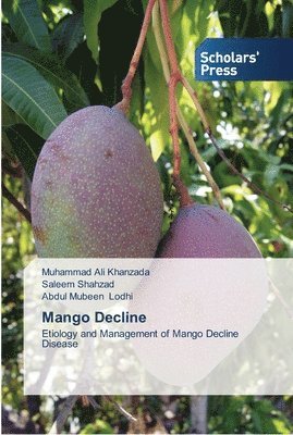 Mango Decline 1