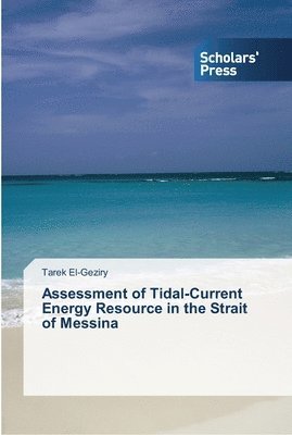 bokomslag Assessment of Tidal-Current Energy Resource in the Strait of Messina