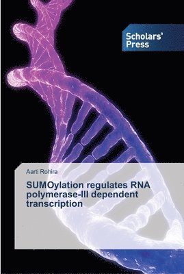 SUMOylation regulates RNA polymerase-III dependent transcription 1