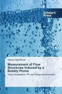 bokomslag Measurement of Flow Structures Induced by a Bubbly Plume