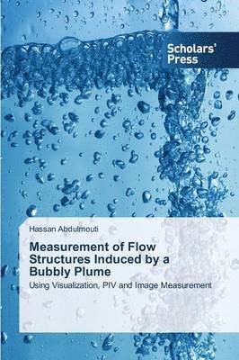 Measurement of Flow Structures Induced by a Bubbly Plume 1