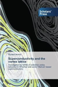 bokomslag Superconductivity and the vortex lattice