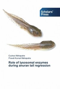 bokomslag Role of lysosomal enzymes during anuran tail regression