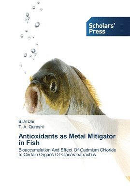 bokomslag Antioxidants as Metal Mitigator in Fish