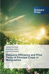 bokomslag Resource Efficiency and Price Parity of Principal Crops in Maharashtra