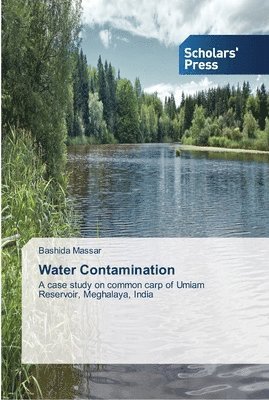 Water Contamination 1