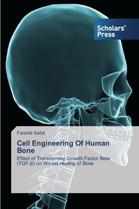 bokomslag Cell Engineering Of Human Bone