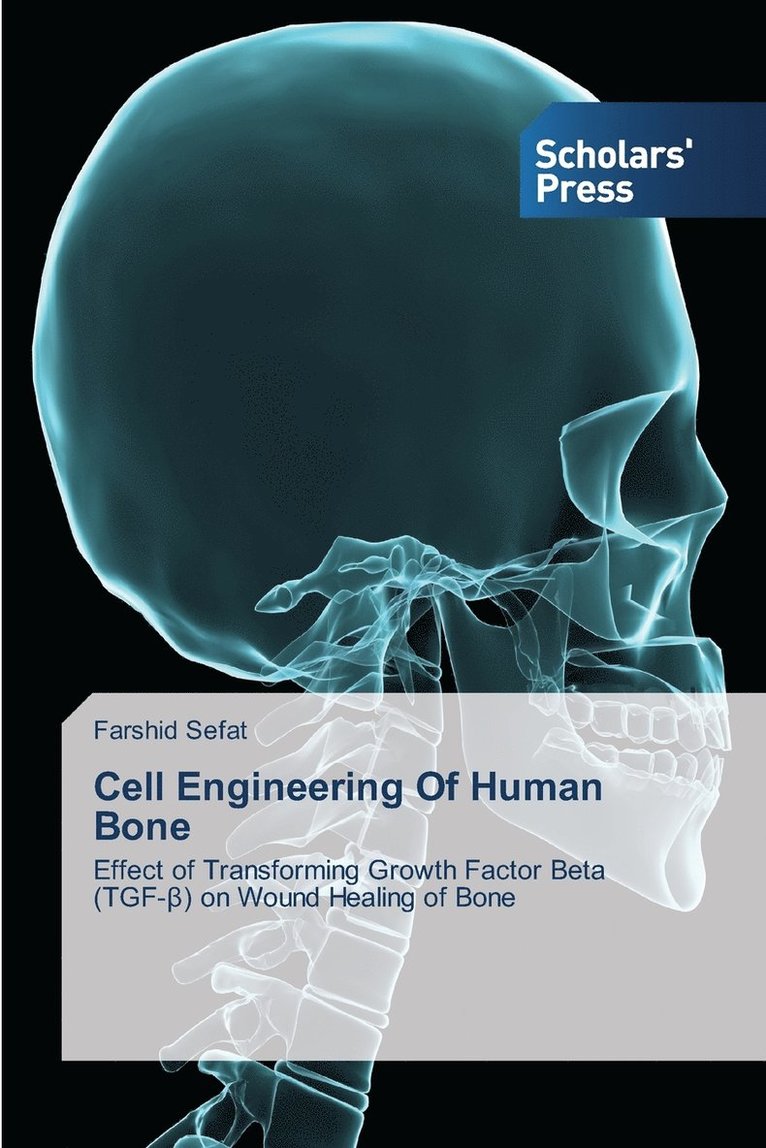 Cell Engineering Of Human Bone 1