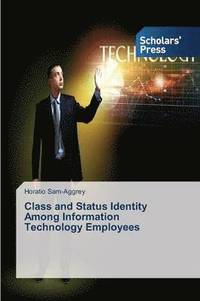 bokomslag Class and Status Identity Among Information Technology Employees