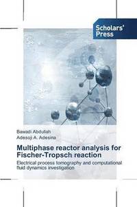 bokomslag Multiphase reactor analysis for Fischer-Tropsch reaction