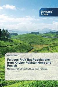 bokomslag Fulvous Fruit Bat Populations from Khyber Pakhtunkhwa and Punjab