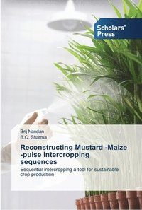 bokomslag Reconstructing Mustard -Maize -pulse intercropping sequences