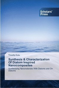 bokomslag Synthesis & Characterization Of Diatom Inspired Nanocomposites