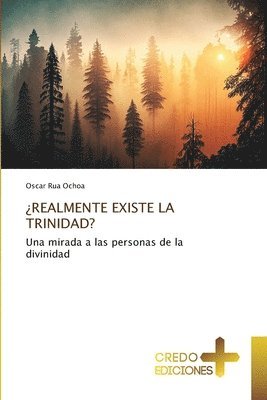 ¿Realmente Existe La Trinidad? 1