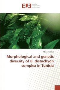 bokomslag Morphological and genetic diversity of B. distachyon complex in Tunisia