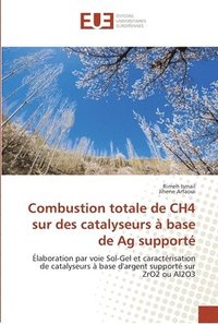 bokomslag Combustion totale de CH4 sur des catalyseurs  base de Ag support