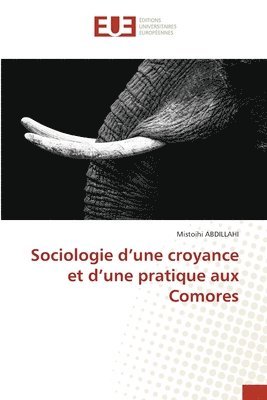 bokomslag Sociologie d'une croyance et d'une pratique aux Comores