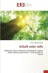 bokomslag InGaN solar cells