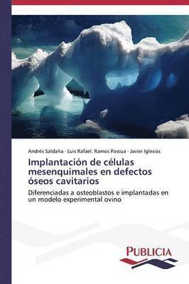 bokomslag Implantacin de clulas mesenquimales en defectos seos cavitarios