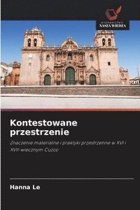 bokomslag Kontestowane przestrzenie