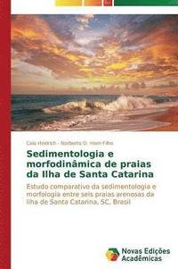 bokomslag Sedimentologia e morfodinmica de praias da Ilha de Santa Catarina