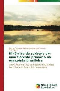bokomslag Dinmica de carbono em uma floresta primria na Amaznia brasileira