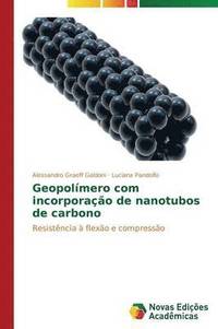 bokomslag Geopolmero com incorporao de nanotubos de carbono