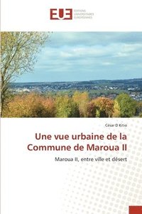 bokomslag Une vue urbaine de la Commune de Maroua II
