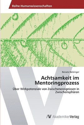 bokomslag Achtsamkeit im Mentoringprozess