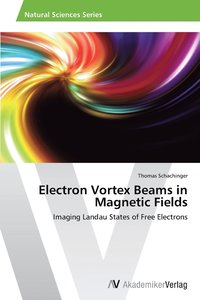 bokomslag Electron Vortex Beams in Magnetic Fields