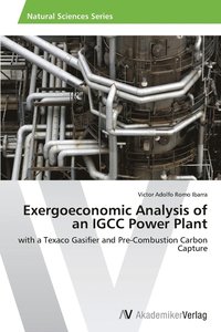 bokomslag Exergoeconomic Analysis of an IGCC Power Plant