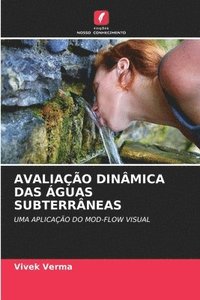 bokomslag Avaliação Dinâmica Das Águas Subterrâneas