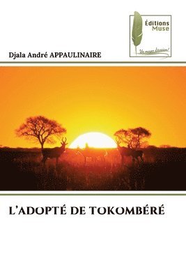 bokomslag L'Adopté de Tokombéré