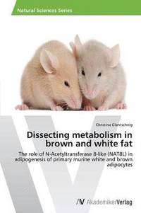 bokomslag Dissecting metabolism in brown and white fat