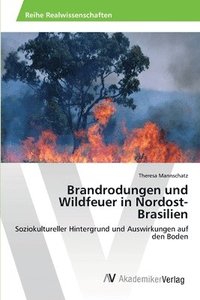 bokomslag Brandrodungen und Wildfeuer in Nordost-Brasilien