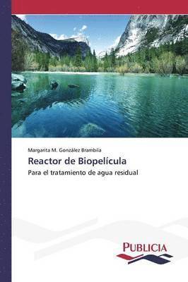Reactor de Biopelcula 1