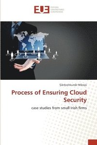 bokomslag Process of Ensuring Cloud Security