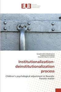 bokomslag Institutionalization-deinstitutionalization process
