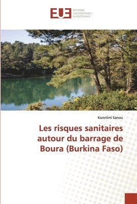 bokomslag Les risques sanitaires autour du barrage de Boura (Burkina Faso)