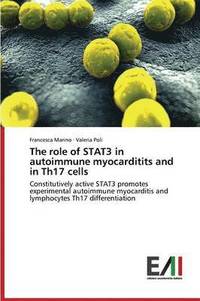 bokomslag The role of STAT3 in autoimmune myocarditits and in Th17 cells