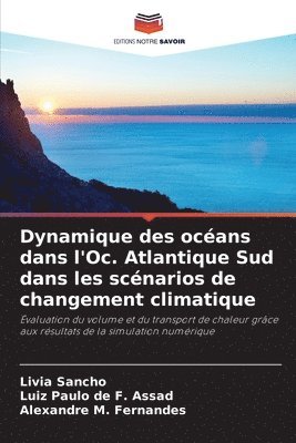 bokomslag Dynamique des océans dans l'Oc. Atlantique Sud dans les scénarios de changement climatique