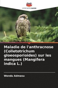 bokomslag Maladie de l'anthracnose (Colletotrichum gloeosporioides) sur les mangues (Mangifera indica L.)
