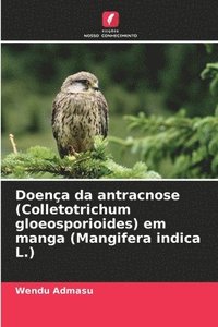 bokomslag Doença da antracnose (Colletotrichum gloeosporioides) em manga (Mangifera indica L.)