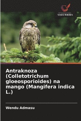 bokomslag Antraknoza (Colletotrichum gloeosporioides) na mango (Mangifera indica L.)