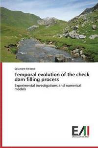bokomslag Temporal evolution of the check dam filling process