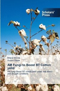 bokomslag AM Fungi to Boost BT Cotton yeild