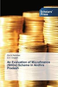 bokomslag An Evaluation of Microfinance (Shgs) Scheme in Andhra Pradesh