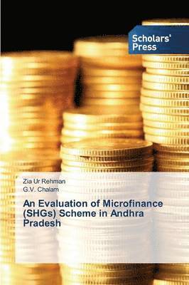 An Evaluation of Microfinance (Shgs) Scheme in Andhra Pradesh 1