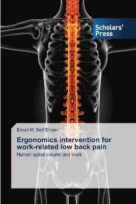 Ergonomics intervention for work-related low back pain 1