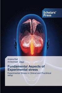 bokomslag Fundamental Aspects of Experimental Stress